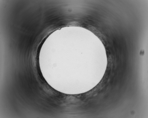 X0000103440290200810241128
