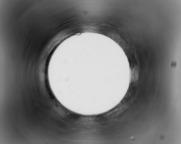 X0000103440291200810241128