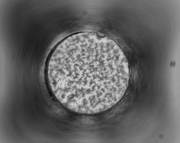 X0000103440292200810241128