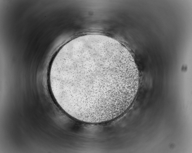 X0000103440293200810241128