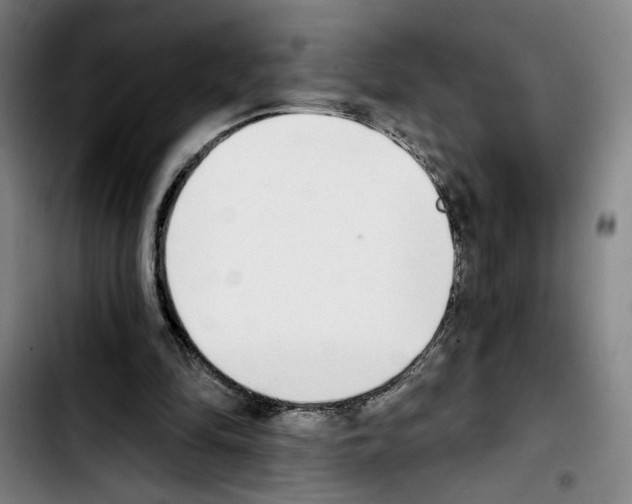 X0000103440294200810241128