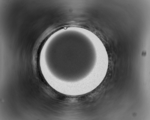 X0000103440295200810241128