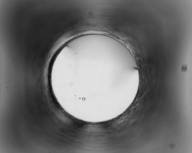 X0000103440296200810241127