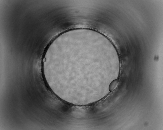 X0000103440297200810241127