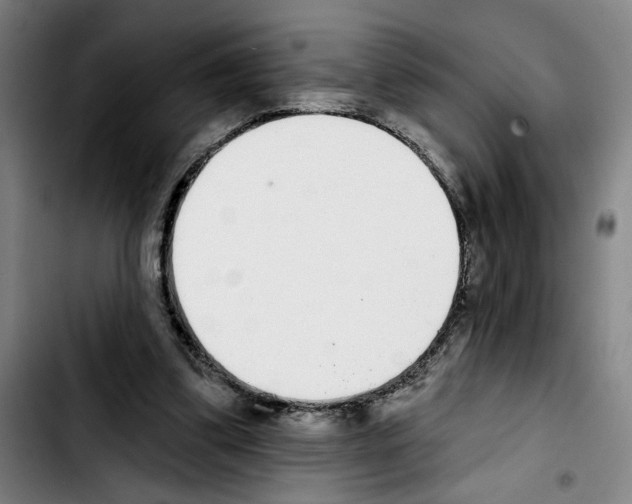 X0000103440299200810241127