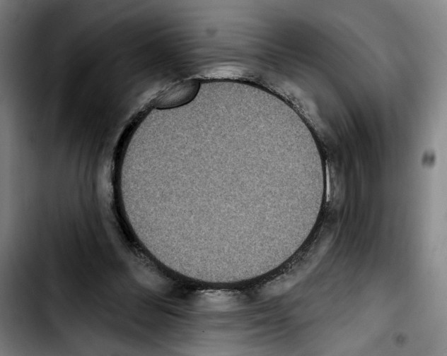 X0000103440300200810241127