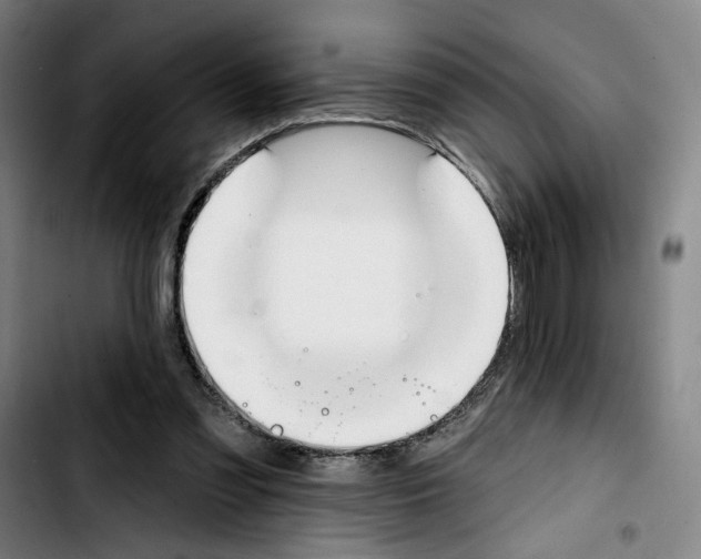 X0000103440301200810241127