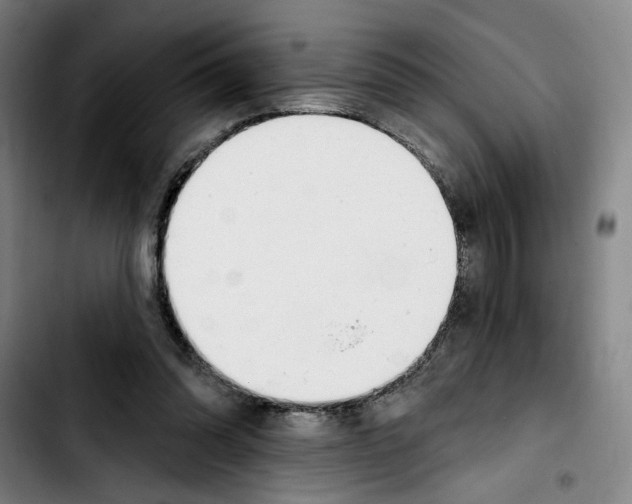 X0000103440302200810241127