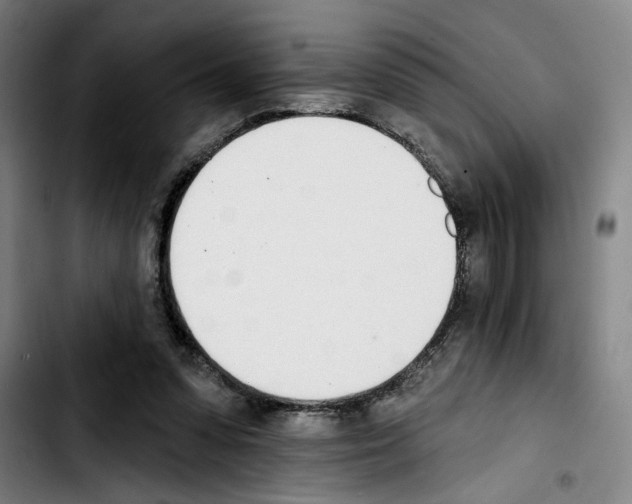 X0000103440303200810241127