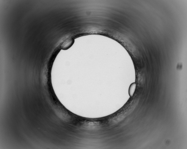 X0000103440304200810241127
