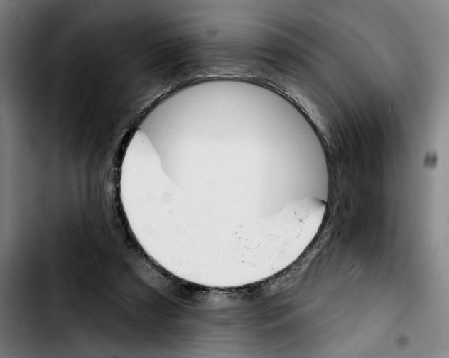 X0000103440305200810241127