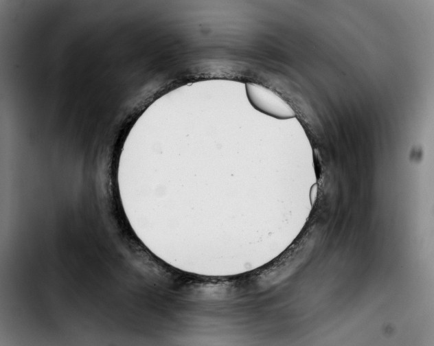 X0000103440306200810241127