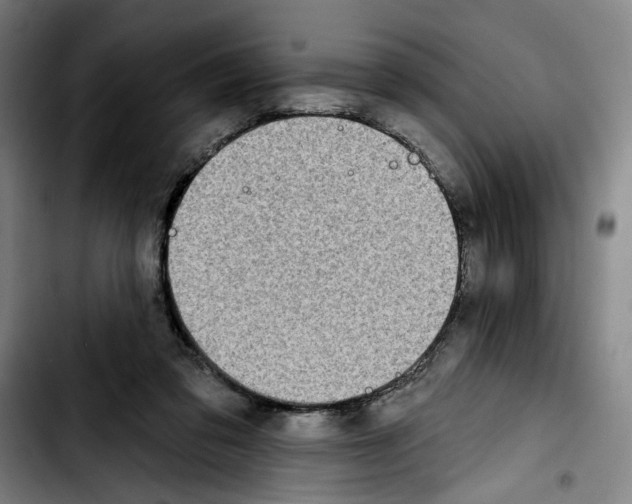 X0000103440309200810241127