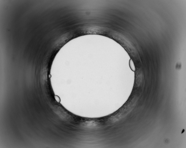 X0000103440310200810241127