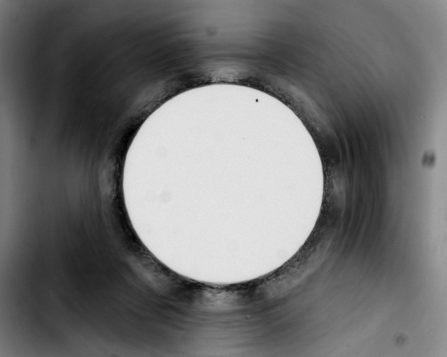 X0000103440311200810241127