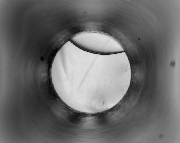 X0000103440312200810241127