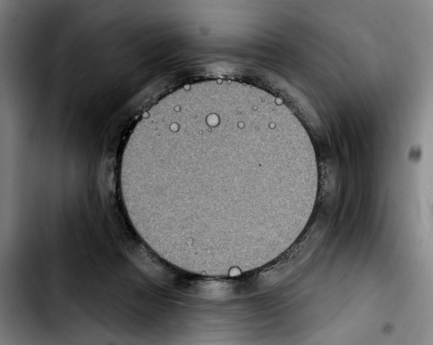 X0000103440313200810241127