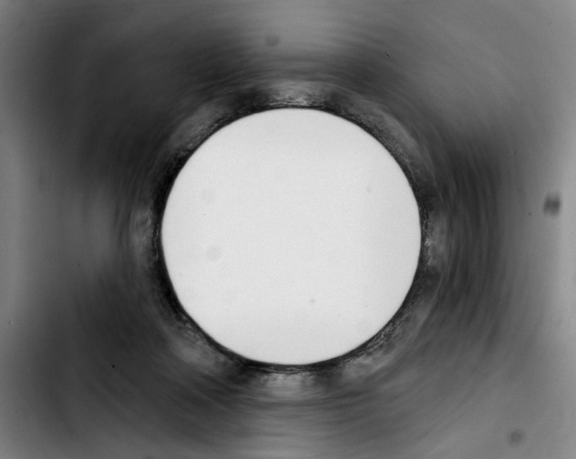 X0000103440314200810241127