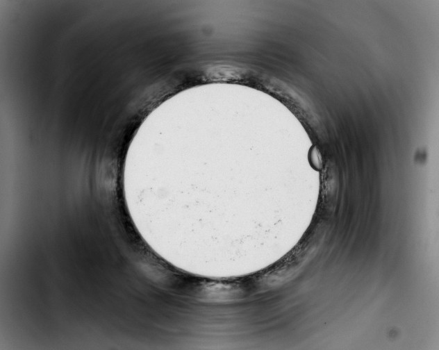 X0000103440315200810241127