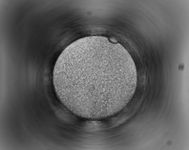 X0000103440316200810241127