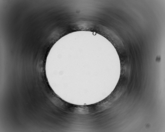 X0000103440317200810241127