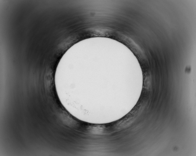 X0000103440318200810241127