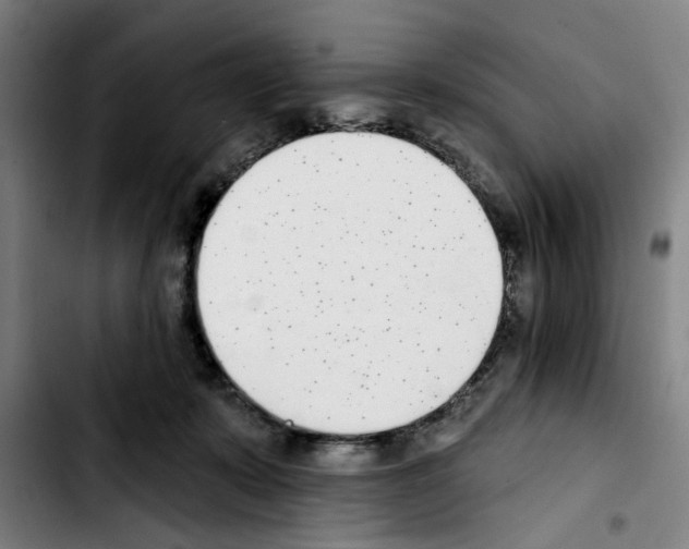X0000103440319200810241127
