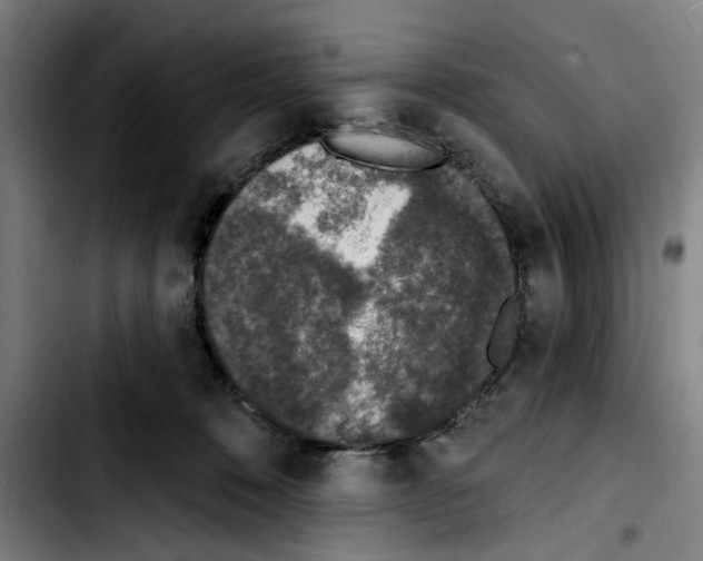 X0000103440320200810241127