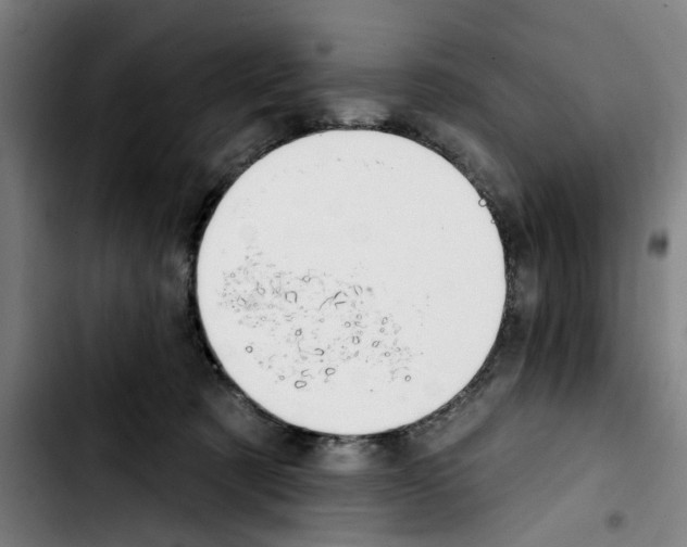 X0000103440321200810241127