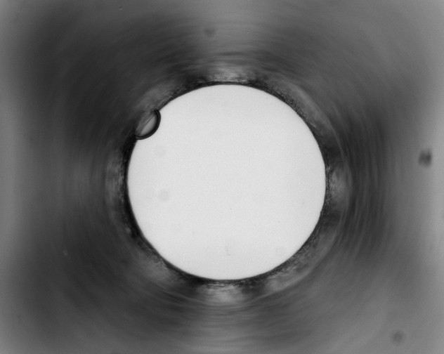 X0000103440322200810241127