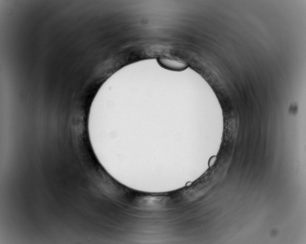 X0000103440323200810241127