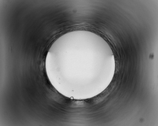 X0000103440324200810241127