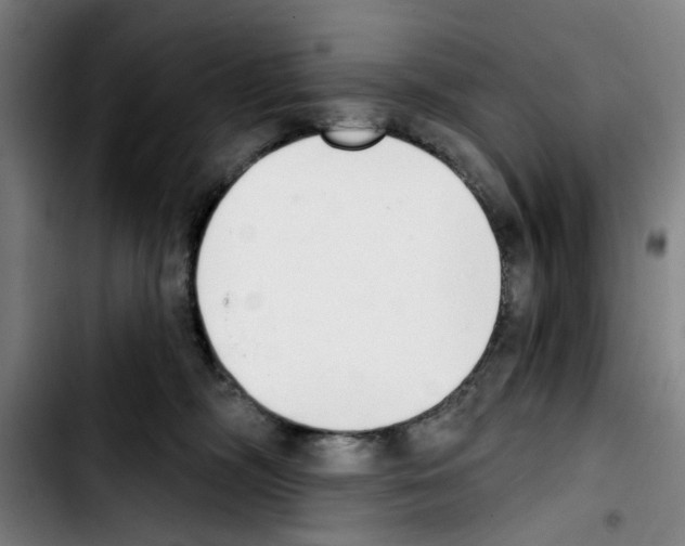 X0000103440326200810241127