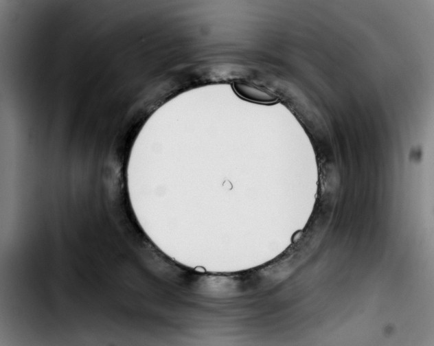 X0000103440327200810241127