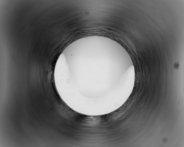 X0000103440328200810241127
