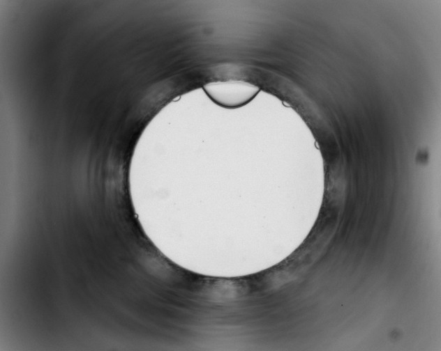 X0000103440330200810241127