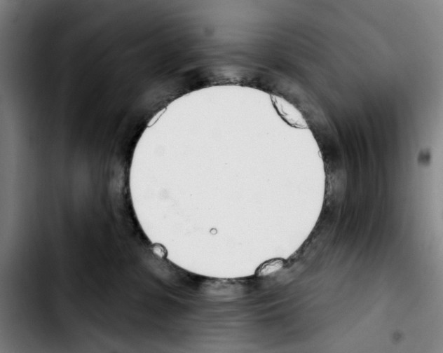 X0000103440331200810241127