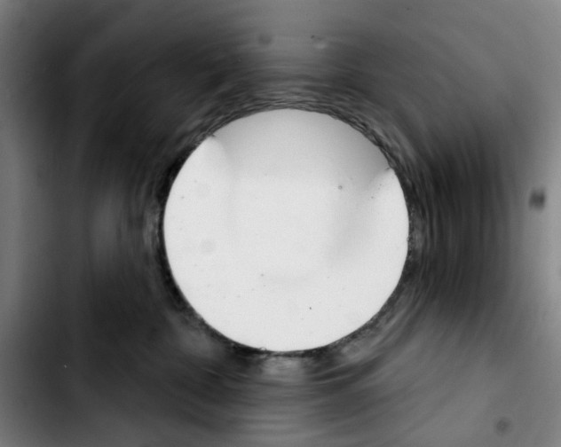 X0000103440332200810241127