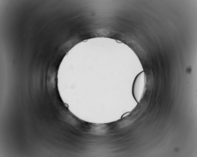 X0000103440334200810241127