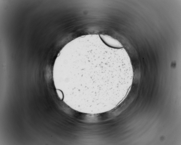 X0000103440335200810241127
