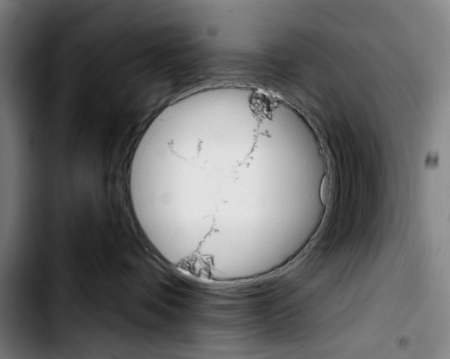 X0000103440336200810241127
