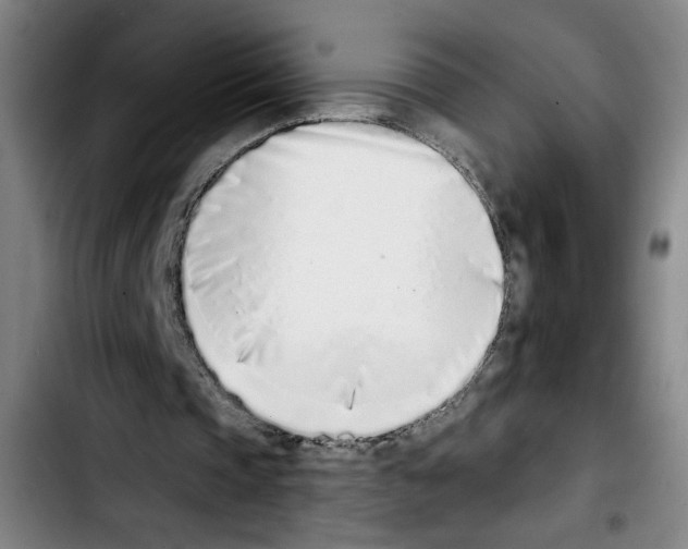 X0000103440337200810241126