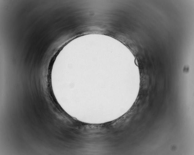 X0000103440338200810241126