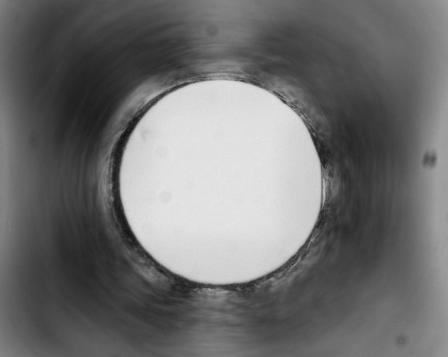 X0000103440339200810241126