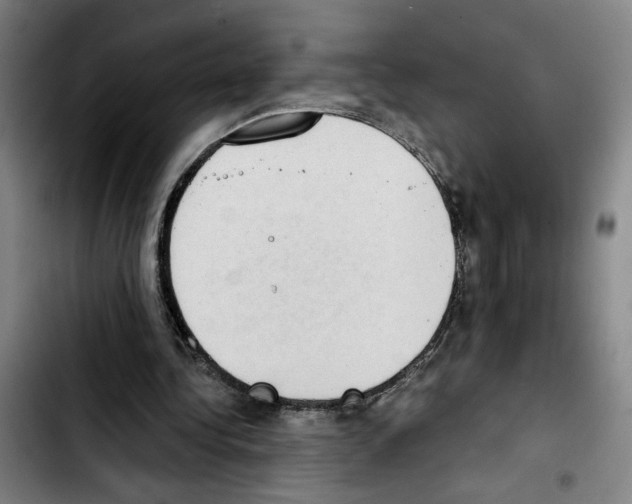 X0000103440340200810241126