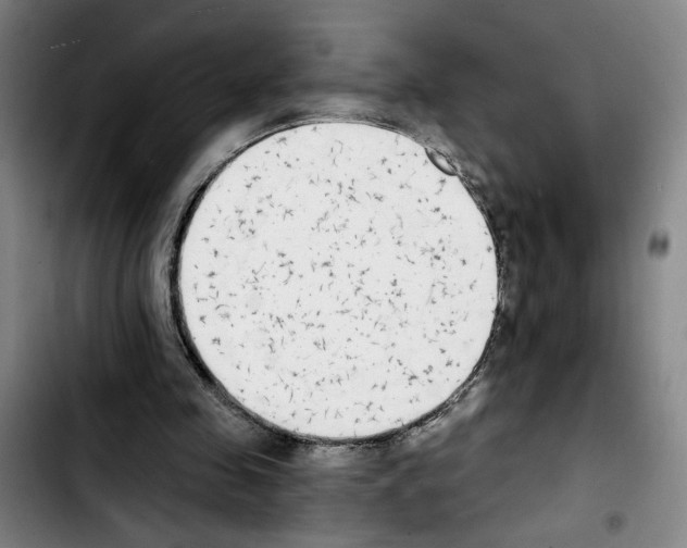 X0000103440341200810241126