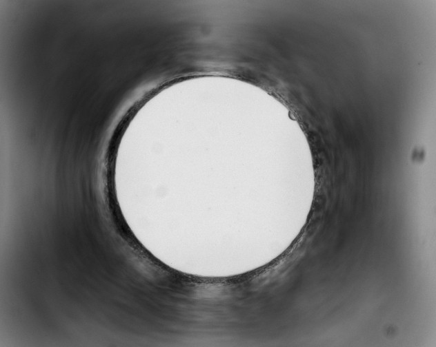 X0000103440342200810241126