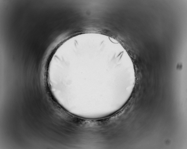 X0000103440343200810241126