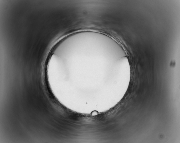 X0000103440344200810241126