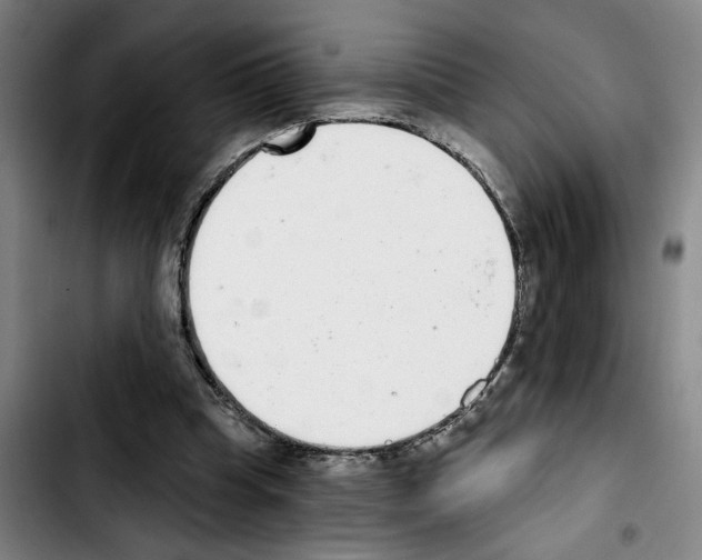 X0000103440345200810241126